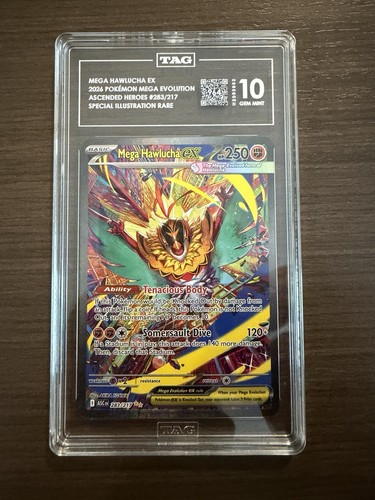 Mega Hawlucha ex graded TAG 10 for sale on eBay