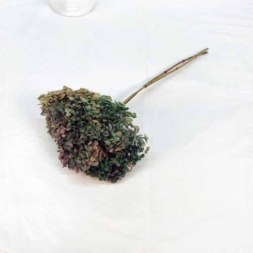 Preserved Small Leaf Hydrangea Natural Dried Flowers Wedding Bouquet Decor - Picture 8 of 50
