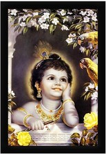 Signore Krishna Infanzia Con Pappagalli Foto Misura Cornice 34.3X49.5cm