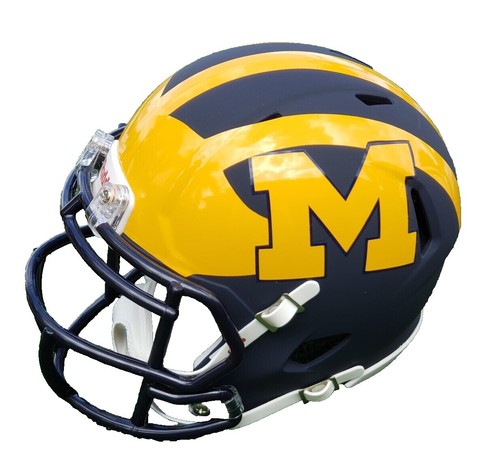 Michigan Wolverines CUSTOM Matte White - Navy Blue Wings Mini Football  Helmet | eBay