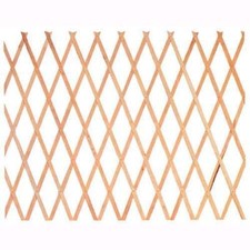 TRALICCIO IN LEGNO RETE ESTENSIBILE MT 3X1 100X300 PER PIANTE RAMPICANTI 26684