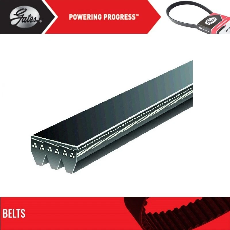 Cinturón GATES OE Micro-V para TOYOTA ECHO L5-1,5 L 2000-2005 Foto 2 de 4