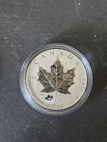 Canadian Silver Maple Leaf 1 oz coin from a recent eBay sale