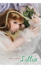 Bild 12 von 12