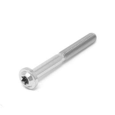 m5 x 40 Titan niedrige lichte Höhe Profilschraube Torx T25 x 0,8 Scheibe Schraube