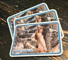 Supreme Larry Clark Girl Sticker 