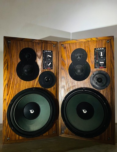 ESB 100LD HI-FI Rare Vintage Top Speakers - Zdjęcie 3 z 9