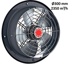 Ventilatore aria di scarico 300 mm ventilatore a parete ventilatore ventilatore a flusso d'aria ventilatore