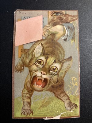 1880s Trade Card Yanking An Angry Cat s Tail. Great Image.