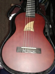guitalele case