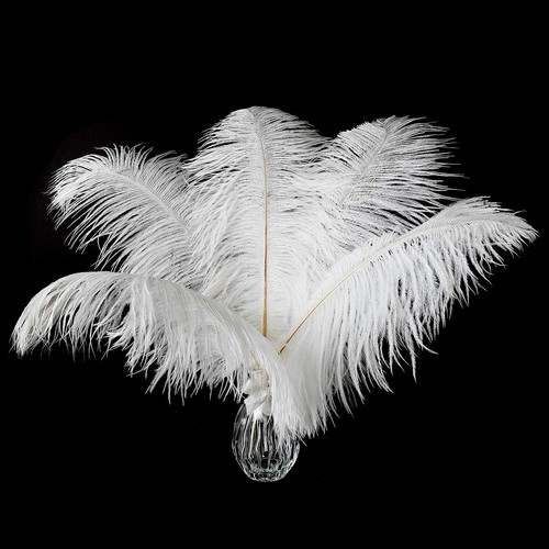 24 PCS White Ostrich Feathers 10-12 Wedding Centerpieces Home Decoration