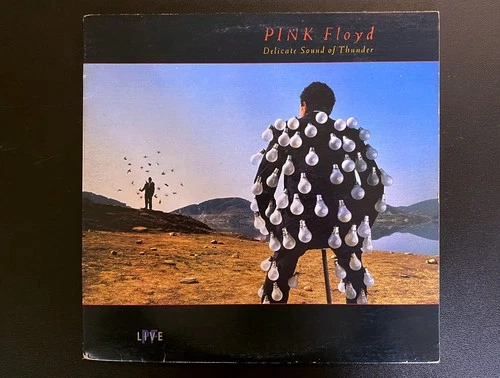 Pink Floyd Delicate Sound of Thunder 1988 TML Pressing 2LP VG+ vinyl
