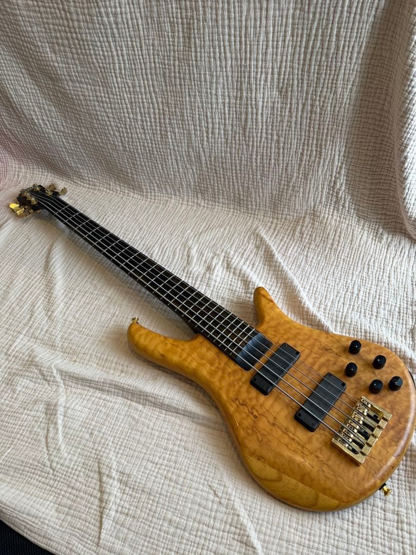 ZON SONUS Custom 5 String Electric Bass | eBay