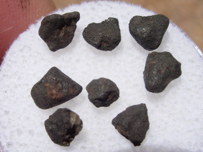 .694 grams for all the crusted individuals Chelyabinsk Meteorites LL5 Russia COA