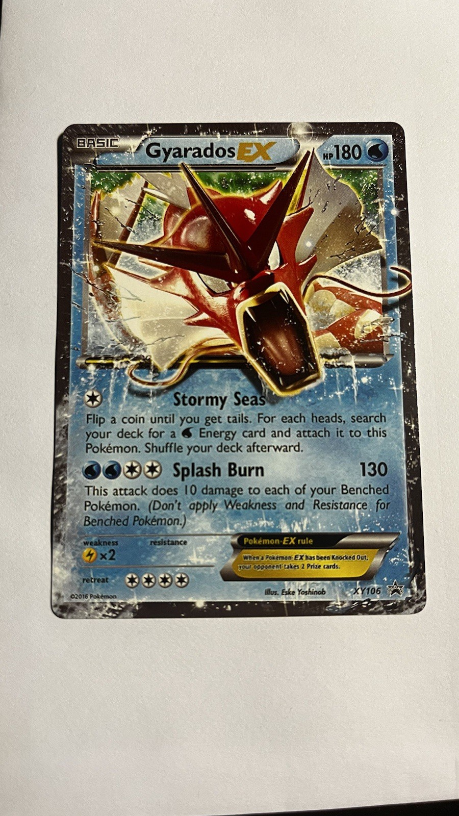 Pokémon TCG Gyarados EX XY106 Promo XY Holo NM
