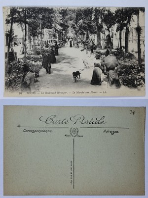 Vintage French Postcard: Flower Market Scene, Tours, France, 1907-1915