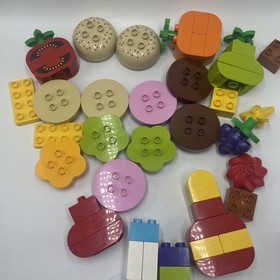 LEGO DUPLO Creative Picnic (10566) Incomplete