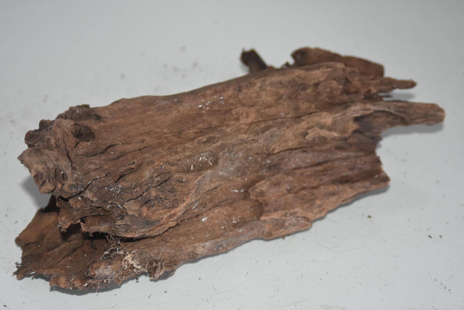 Real Aquarium Bog Wood 2 Large Pieces Roots Logs Driftwood For