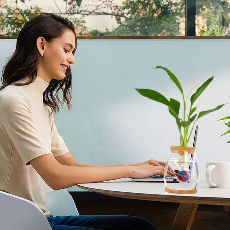 Desktop Fish Bowl Clear Glass Small Fish Tank with Wood Lid and Bamboo