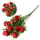 Bild 6 von 54