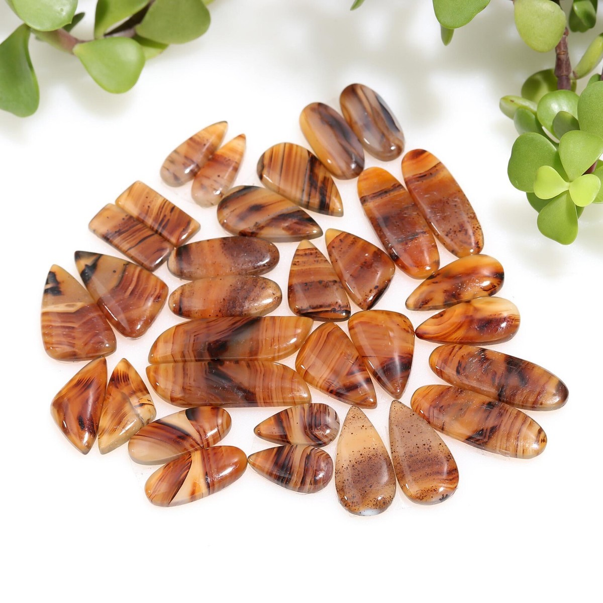 16 Pair 240 Cts Natural Montana Agate Gemstone Cabochon Pair 9x32 
