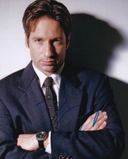 DAVID DUCHOVNY signed autograph 20x25cm THE X FILES in person autograph ACOA
