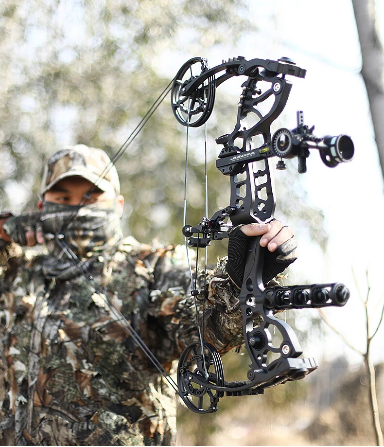 20-70lbs Compound Bow Dual-use Arrows Ball Hunting Archery Fishing Target RH LH - Image 3 of 4