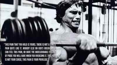 GYM Arnold Schwarzenegger Bodybuilder  WALL ART 30x20 Inch Canvas Framed UK WPF