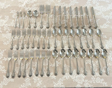 Oneida Arbor Rose 47pc Service For 8 + Extras...