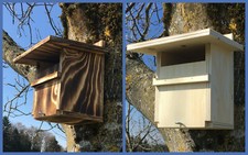 HALBHÖHLE * Nistkasten für Zaunkönig, Rothkehlchen, Haus- und Gartenrotschwanz 