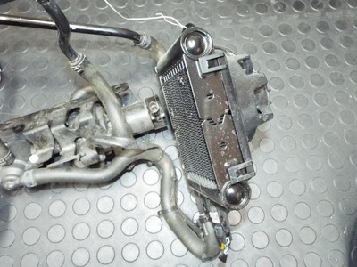 Harley-Davidson 26800019A for sale online | eBay 