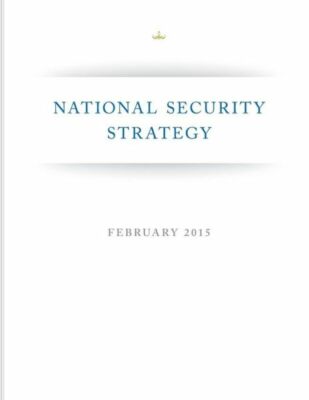National Security Strategy