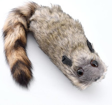 the Rocky Raccoon Robbie Magic Tricks Spring Animal Toy Appearing Magic Stage St