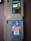 NES Winter Lot - Slalom And Ice Hockey