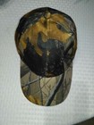 Picture 4 of 4