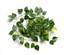 Best Artificial Ghirlanda Edera Autunnale 210 Cm (2 Pezzi) - Rampicante Con 80 Foglie Per Decorazioni Matrimoni E Feste