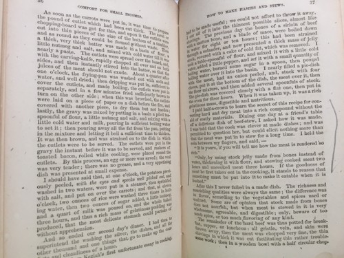 Antique American Household Book Eliza Warren COMFORT FOR SMALL INCOMES 1866 - Picture 7 of 8