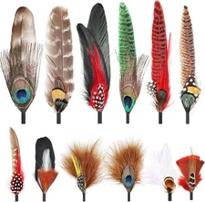 12Pcs Hat Feathers Assorted Natural Feathers for Hats Colorful Real Feathers
