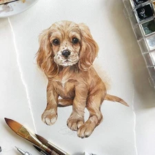 Original Watercolor Baby Cocker Spaniel 6x8 Painting Unique Artwork Wall Art