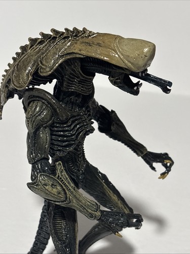 2021 Alien vs Predator Chrysalis Alien Actionfigur lose Sammelfigur - Bild 5 von 6
