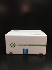 Aurora Biotechnologi REF 1042-00110 32 Cell Culture Plates Black ULB 384 IQ 188m