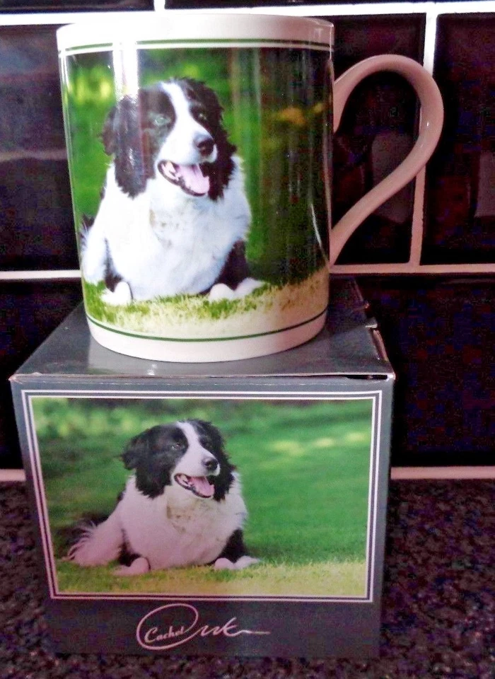Cachet Fine China Mug Black And White BORDER COLLIE BNIB - Image 3 of 4