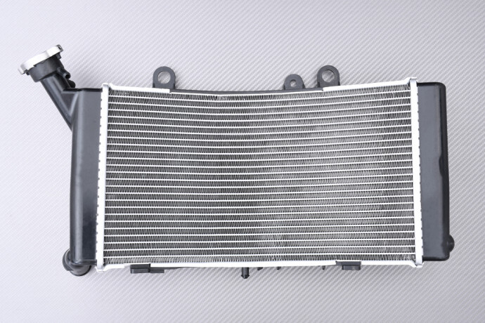 Radiateur eau moto pour BMW F900 GS idéal pour les longs voyages