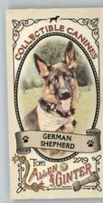 2019 Allen and Ginter Collectible Canines Mini #CC-4 German Shepherd