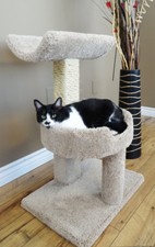 CAT WINDOW PERCH/TREE, 31" HEIGHT - FREE SHIPPING IN THE UNITED STATES