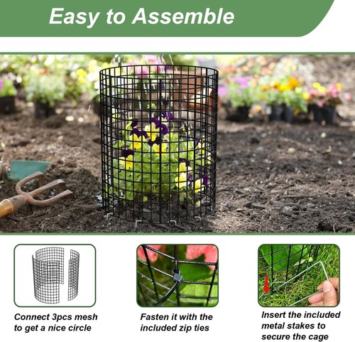 Plant Protectors 12x12 inch Wire Mesh Plant Cages Plant Protector from Animals - Picture 8 of 19
