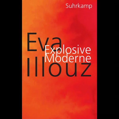 Explosive Moderne: Eine scharfsinnige Analyse unserer emotionsgeladenen Geg ...