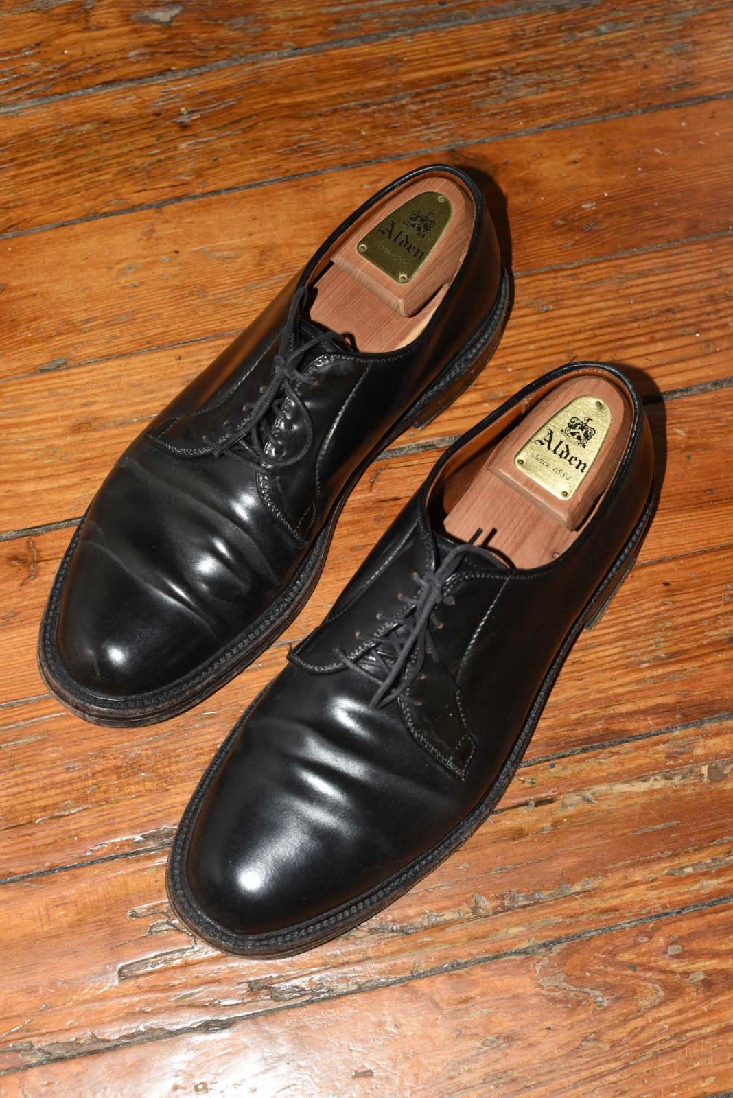 Alden 9901 Black Shell Cordovan Plain Toe Blucher