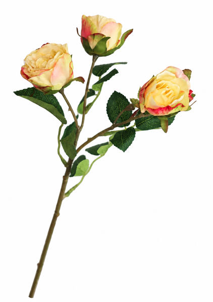 Rosen Zweig 38Cm Hellgelb-Rosé • KüNstliche Rose • 4 BlüTen/Knospen Deko Rose-image