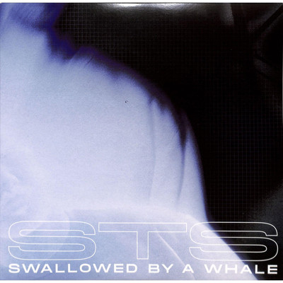 STS / SWALLOWED BY A WHALE (INCL. DANNY DAZE X JONNY FROM SPACE & WARZOU REMIXE